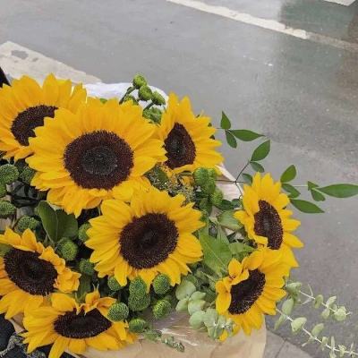 云开·全站APP下载截图