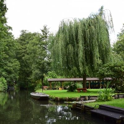 开云体云app手机app下载截图