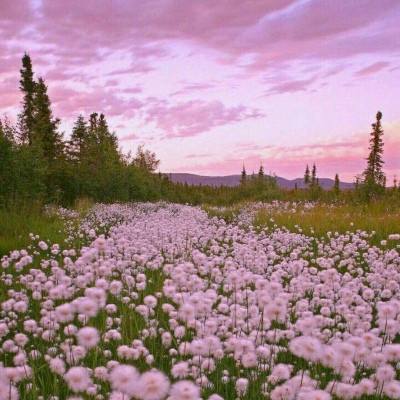 威尼斯澳门人(亚洲)第一品牌